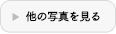 フォトギャラリー