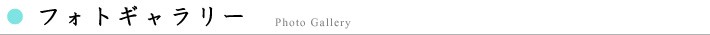 フォトギャラリー