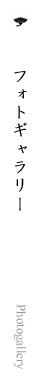 フォトギャラリー