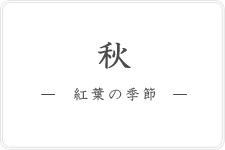 紅葉の季節の和装ロケーション前撮り